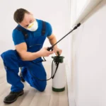 Pest Control Services in Lahore