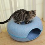 cat tunnel house