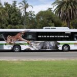 bus wrap ideas