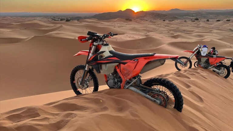 Bike Ride in Dubai: An Ultimate Adventure Guide
