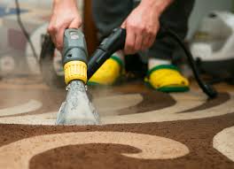 best company to clean carpets