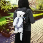dog in a carrier