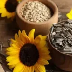 How to Add Sunflower Seeds to Your Daily Diet