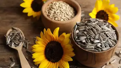 How to Add Sunflower Seeds to Your Daily Diet