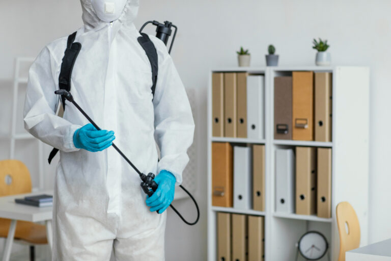 Pest Control Near Me Rodent and Bug Extermination Solutions