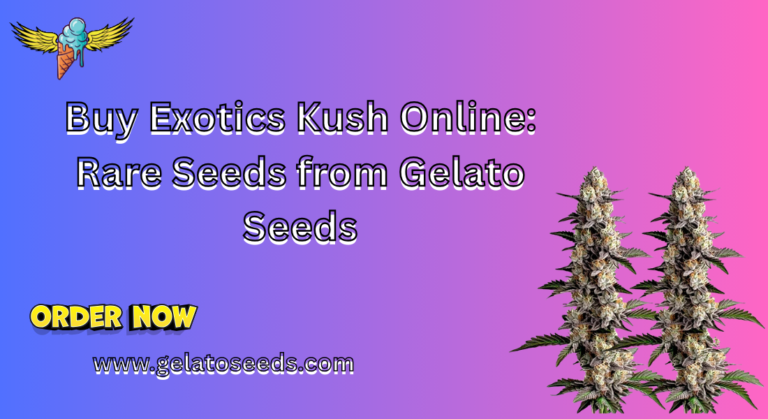 buy exotics kush online