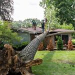 Emergency tree removal in Winston-Salem