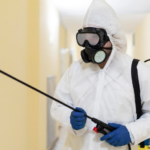 How Fortified Pest Control is Revolutionizing Pest Management in Las Vegas