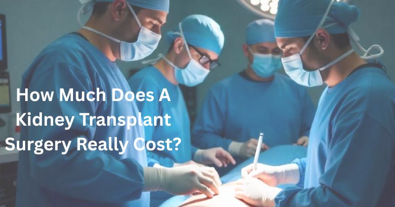 Kidney Transplant Surgery