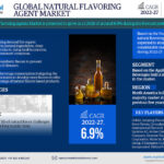 Natural Flavoring Agent Market