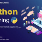 Python Programming