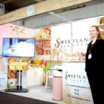 Shell_Scheme_Gallery_Image_1