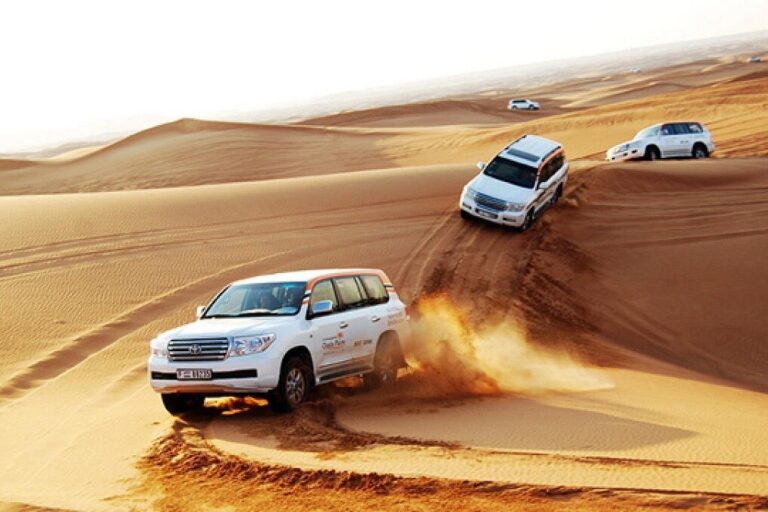 Desert Safari Adventure in Dubai