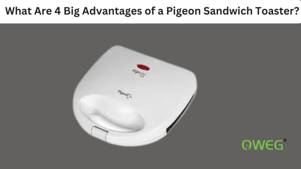 What Are 4 Big Advantages of a Pigeon Sandwich Toaster