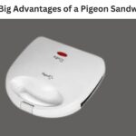 What Are 4 Big Advantages of a Pigeon Sandwich Toaster