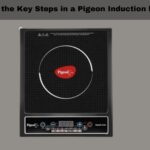 What Are the Key Steps in a Pigeon Induction Process