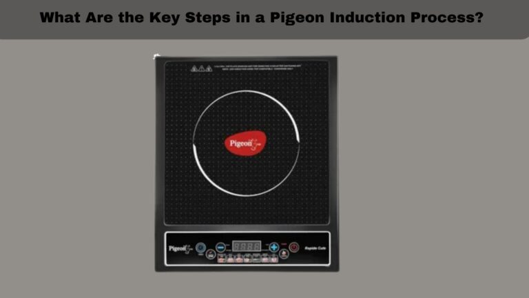 What Are the Key Steps in a Pigeon Induction Process