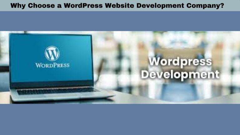 Why Choose a WordPress Website Development Company