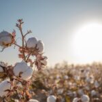 Fabric Suppliers in Pakistan, Cotton Yarn Supplier, Avon Commercial, Textile Fabrics, Yarn Supplier, Textile Industry, Cotton Yarn