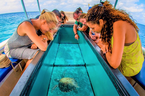 glass bottom rides in Andaman