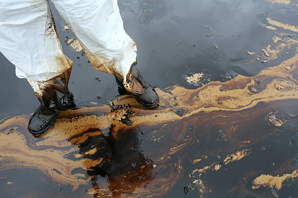 clean up Crude oil stain at Ao Prao Beach  in , Rayong, Thailand