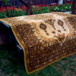 The Smart Choice for Damage Carpet Repairs in Vancouver