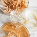 Sea Moss