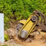 Affordable Tree Cutting Service