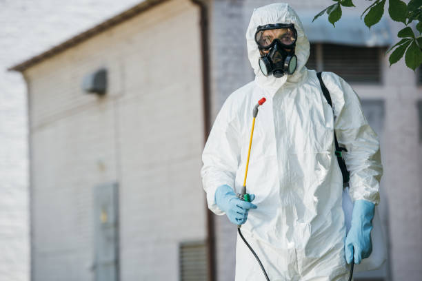 pest control worker in respirator holding sprayer