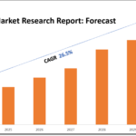 6G Market