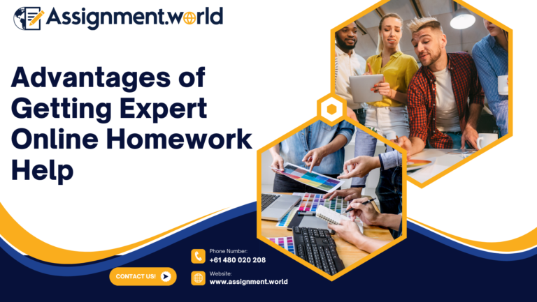 top homework helper