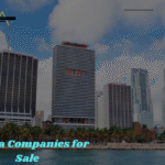 Florida Companies for Sale (11)