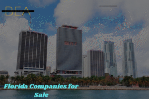 Florida Companies for Sale (11)