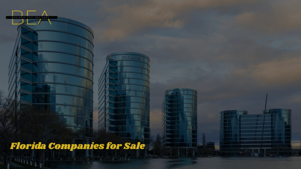 Florida Companies for Sale (15)