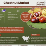Global Chestnut Market Research Report Forecast (2024-2030)