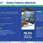 Global Data Fabric Market Research Report Forecast (2023-2028)