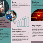 Global Digital Risk Protection (DRP) Market Research Report Forecast (2024-2030)