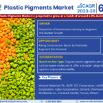 Global Plastic Pigments Market Research Report Forecast (2023-2028)