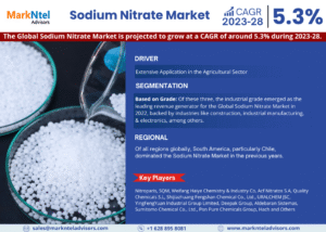 Global Sodium Nitrate Market Research Report Forecast (2023-2028)