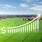 Open Plots in Namburu