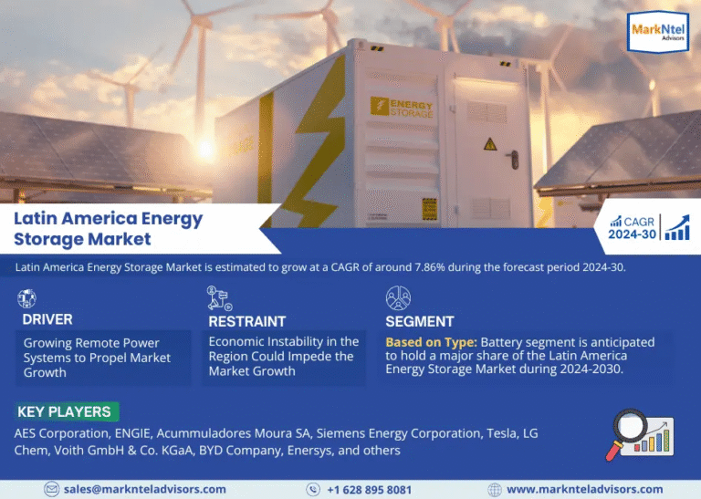 Latin America Energy Storage Market Research Report Forecast (2024-2030)