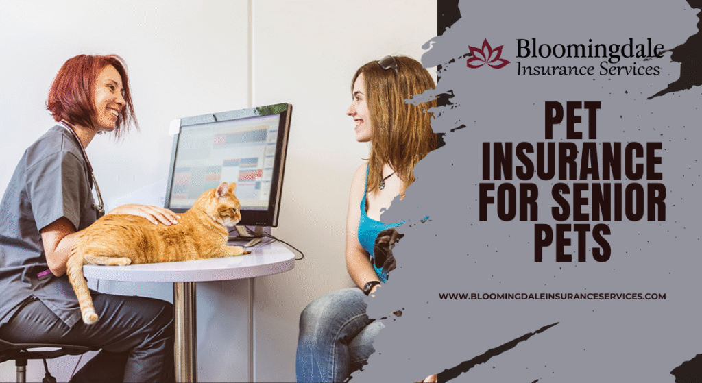 Pet Insurance for Senior Pets