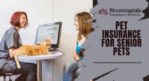Pet Insurance for Senior Pets