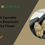 Purple Punch Cannabis Strain