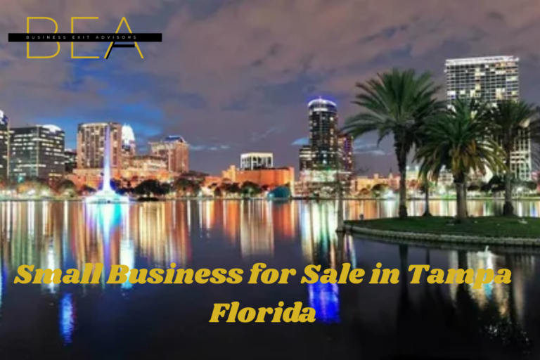 Small Business for Sale in Tampa Florida (3)