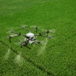 drone crop analysis