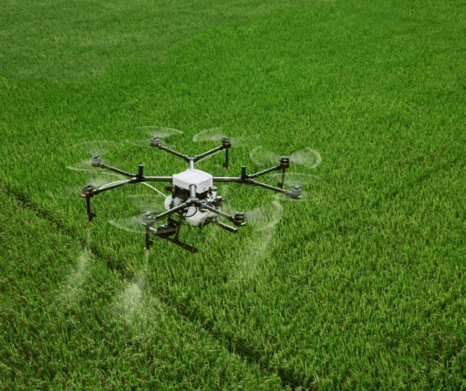 drone crop analysis