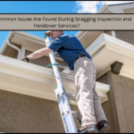 Professional-Inspection-Services