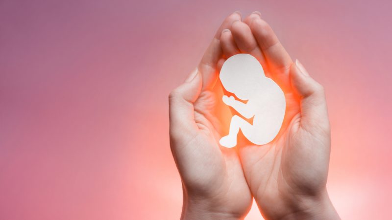 abortion-800x450-1