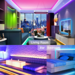 LED Module factory